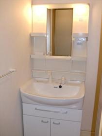 Washroom. Shampoo dresser
