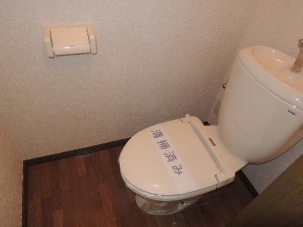Toilet. Toilet