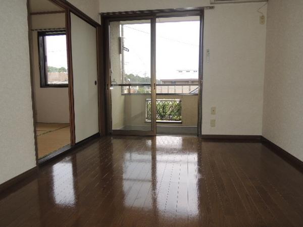 Other room space. Western style room