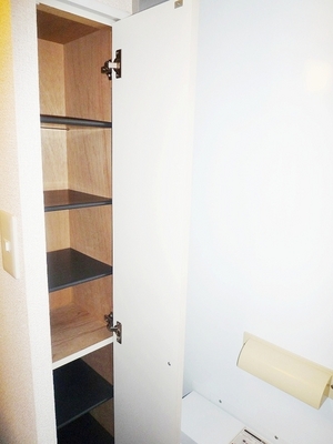 Entrance. Entrance with cupboard