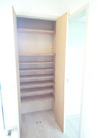 Entrance. There footwear housed in the entrance. 