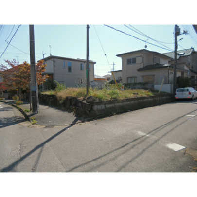 Local land photo. Appearance 1