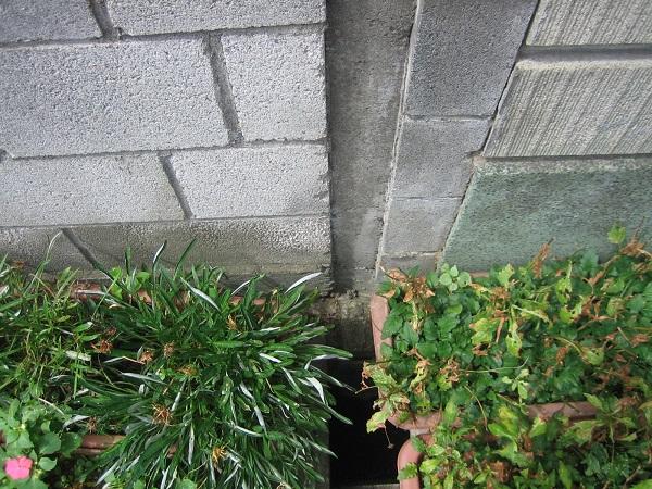 Local photos, including front road