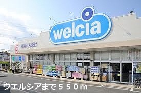 Dorakkusutoa. Uerushia 550m until (drugstore)