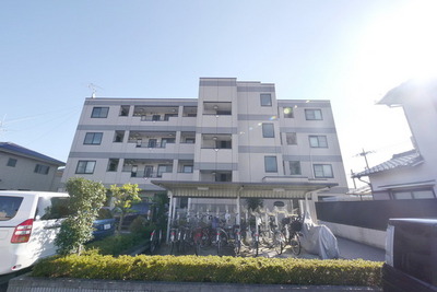 Other. (Other) up to 10m