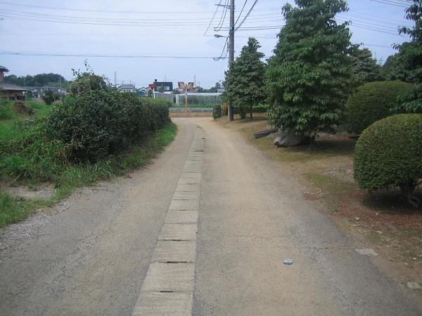 Local photos, including front road