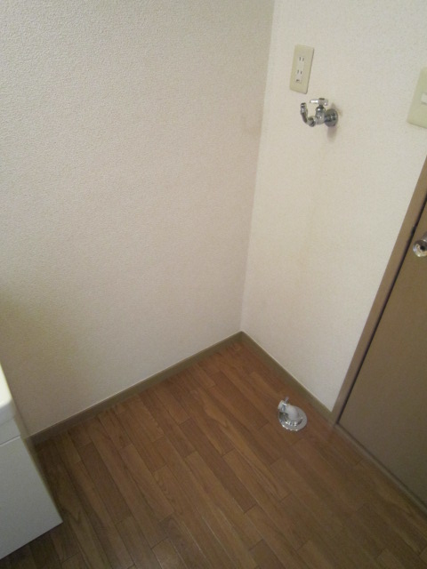 Other. Washing machine in the room