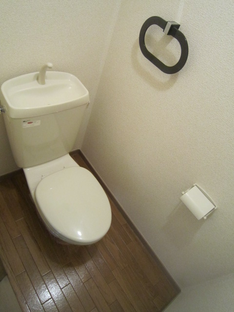 Other. Toilet