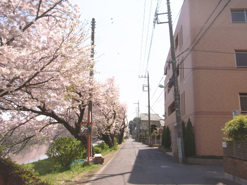 Other. Surrounding environment