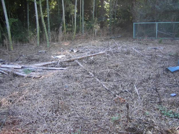 Local photos, including front road