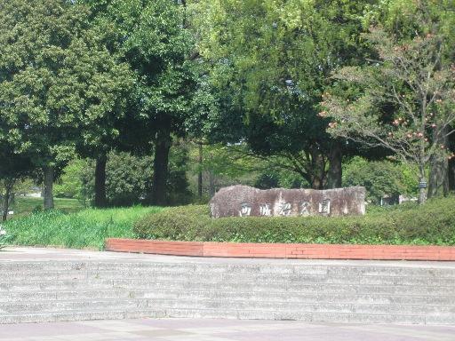 park. 900m to Xicheng swamp park