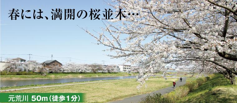 Other Environmental Photo. 50m up to a 1-minute walk from the Motoarakawa