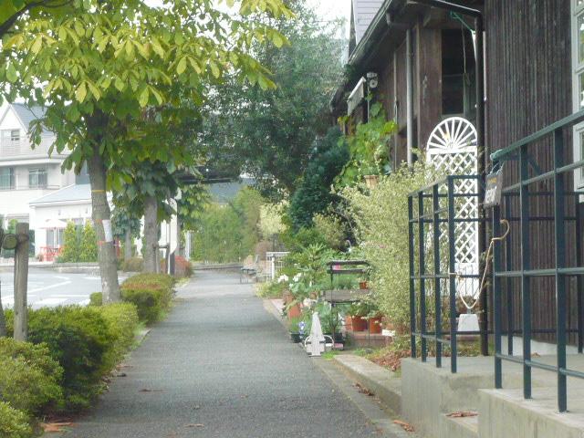 Other local. Local (September 2011) Shooting