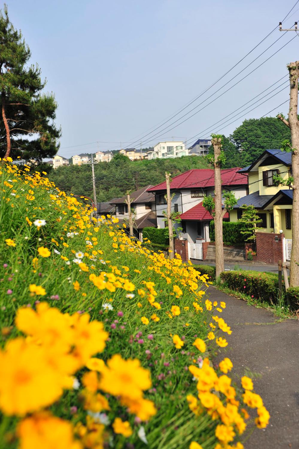 Other local. Local (June 2011) shooting