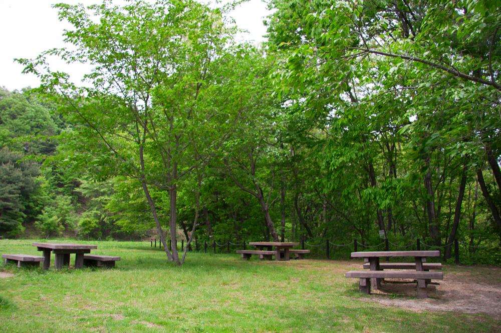 Other. Subdivision within the park