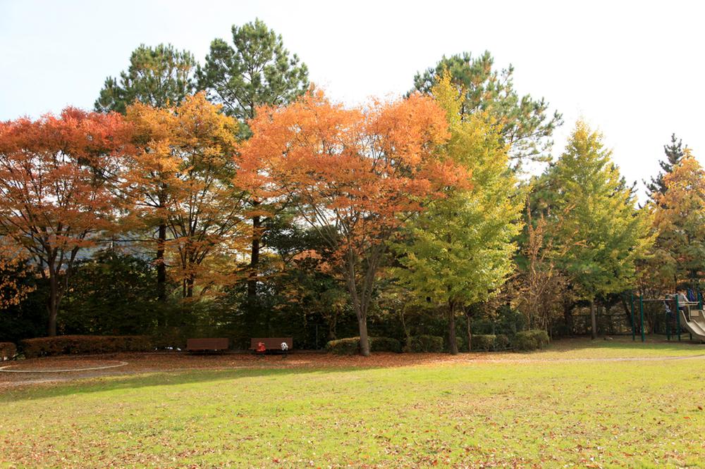 Other. Subdivision within the park