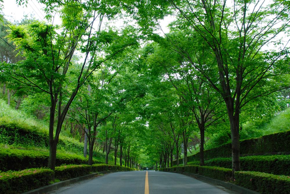 Other. Subdivision entrance