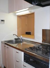 Kitchen. 1LDK type room kitchen