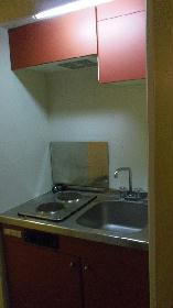 Kitchen. Two-necked electric stove