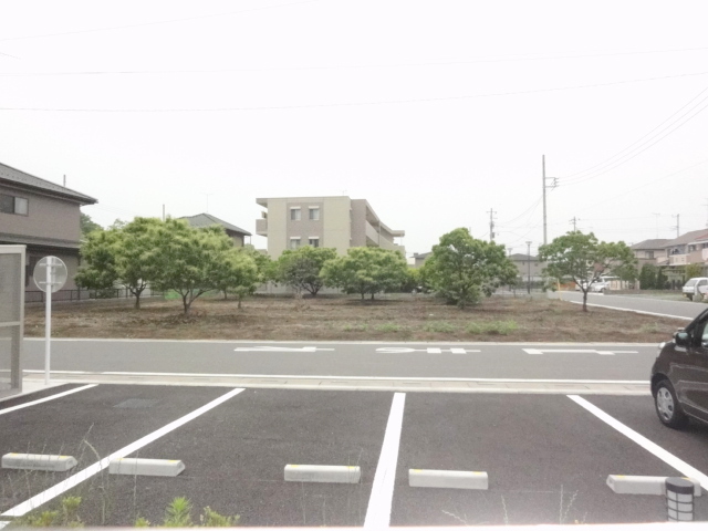 View. View from the window