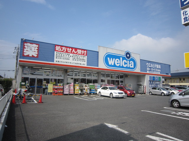 Dorakkusutoa. Uerushia Hidaka Komagawa shop 1005m until (drugstore)