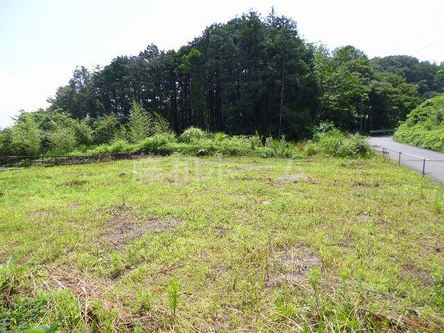 Local land photo. Local (July 2013) Shooting