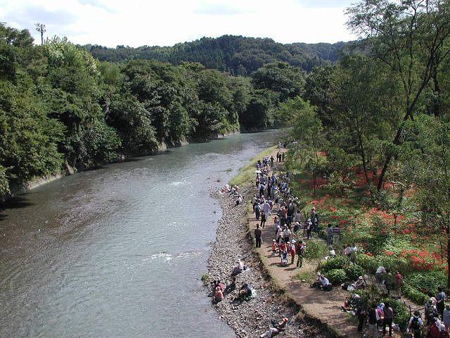 Other Environmental Photo. 700m until Komagawa