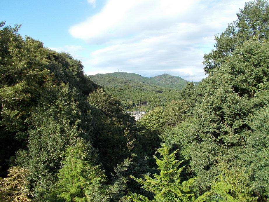 View photos from the local. View from local (September 2013) Shooting