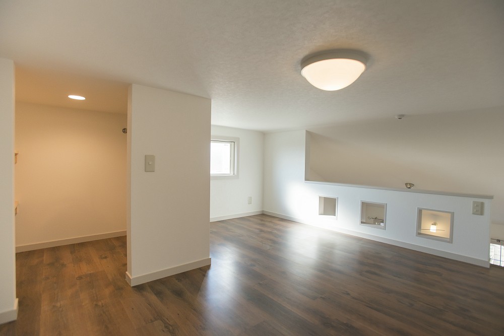 Other room space. Ceiling is high because there is a large loft with open tappuri