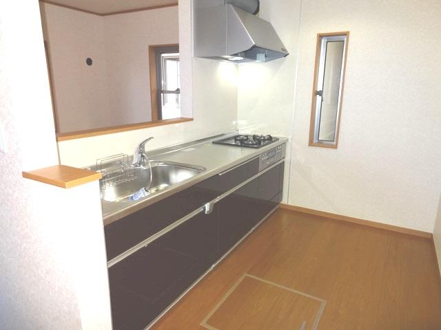 Kitchen. Indoor (10 May 2013) Shooting