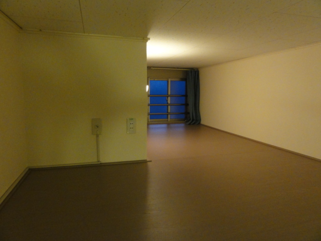 Other. It is the state of the loft space