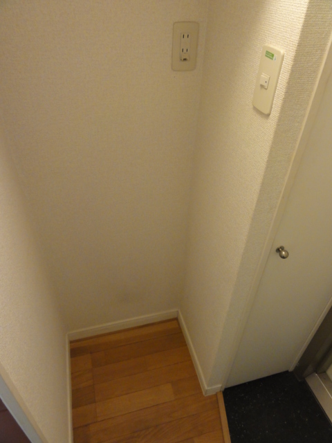 Other. Refrigerator is the yard.