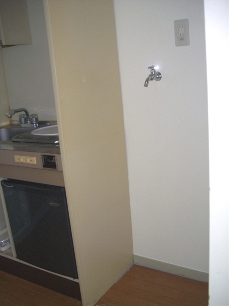 Other room space. Washing machine in the room