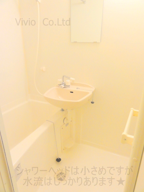 Bath. Bathroom dryer is equipped.