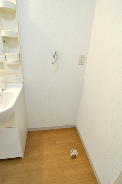 Other room space. Laundry Area