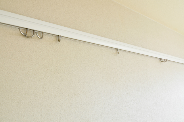 Other. The Japanese have a picture rail