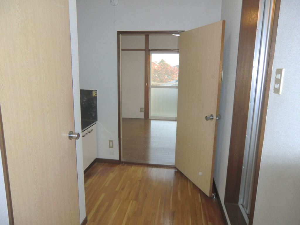 Entrance. Room viewed from the entrance