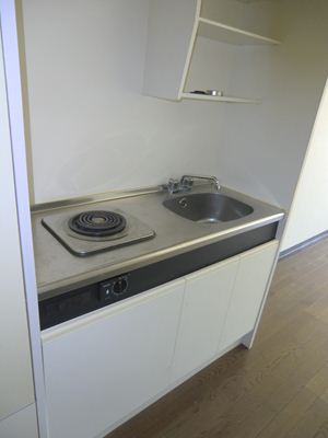 Kitchen. Kitchen with electric stove