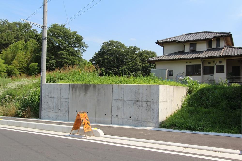 Other local. Local appearance photo