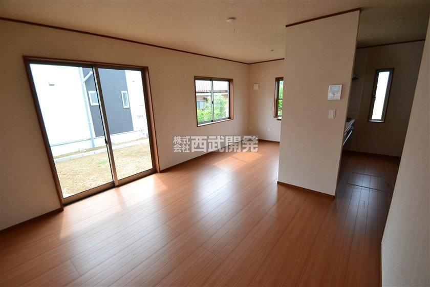 Living. Room (August 2013) Shooting