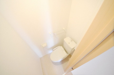 Toilet. Interior image