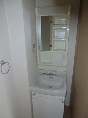 Washroom. Bathroom vanity