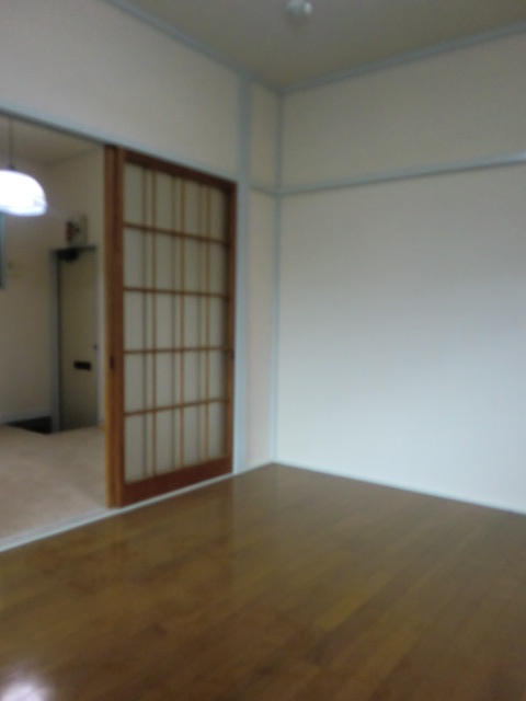 Other room space. Western style room