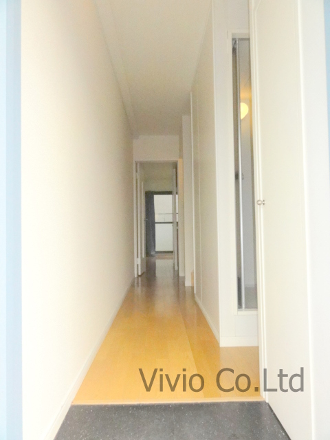 Entrance. It is the state of the corridor as seen from the front door.