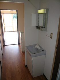 Washroom. There washbasin