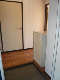 Entrance. There shoebox in the entrance