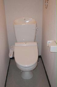 Toilet. Warm water washing toilet seat