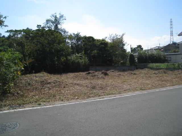 Local land photo