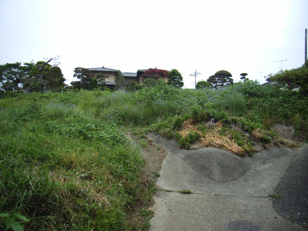 Local photos, including front road. Local (July 2013) Shooting