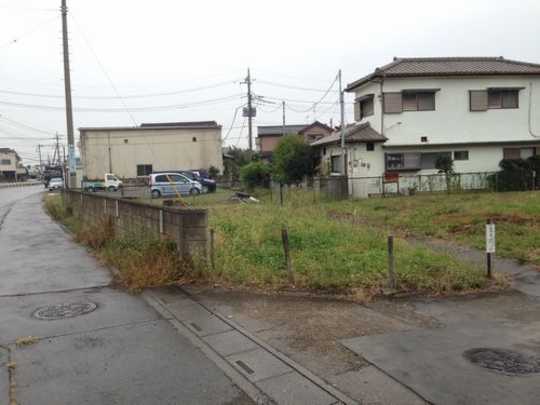 Local land photo. Appearance (1)